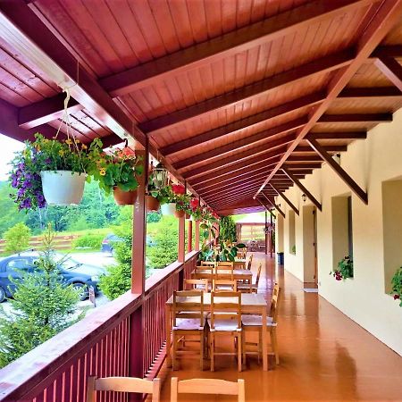 Pensiunea Castania - Pensiune Cu Piscina La Munte Polovragi Exteriör bild