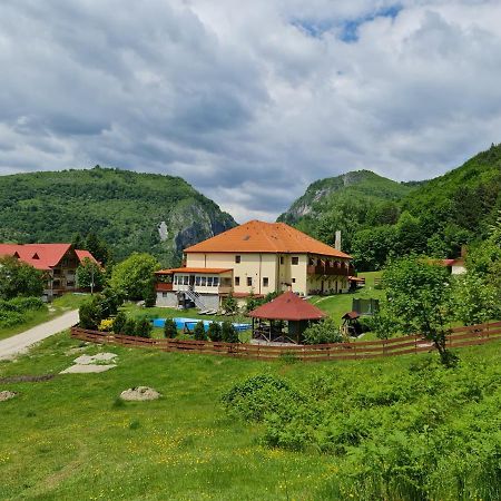 Pensiunea Castania - Pensiune Cu Piscina La Munte Polovragi Exteriör bild