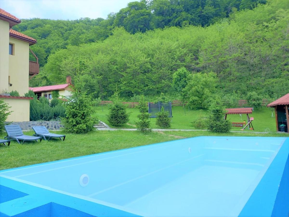 Pensiunea Castania - Pensiune Cu Piscina La Munte Polovragi Exteriör bild