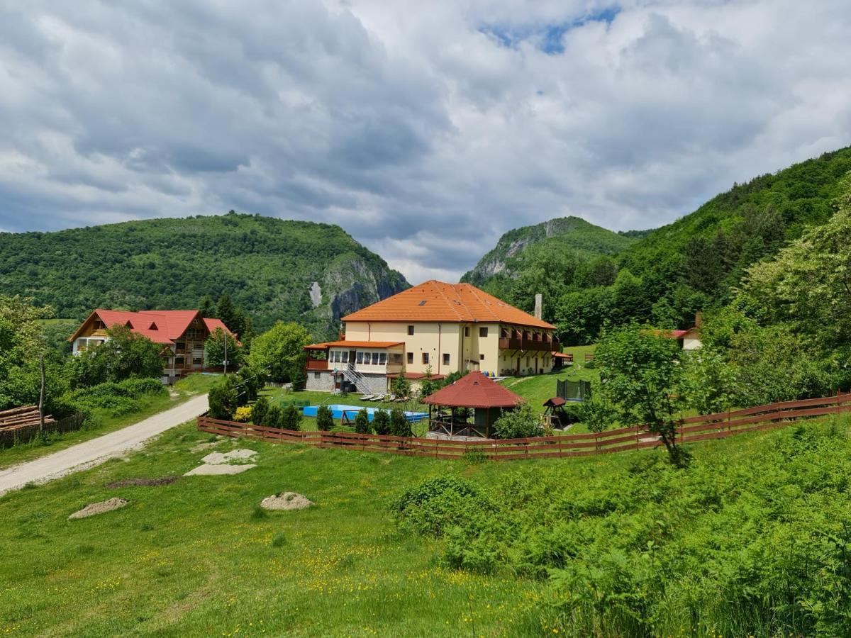 Pensiunea Castania - Pensiune Cu Piscina La Munte Polovragi Exteriör bild