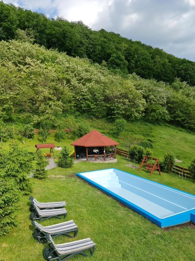 Pensiunea Castania - Pensiune Cu Piscina La Munte Polovragi Exteriör bild