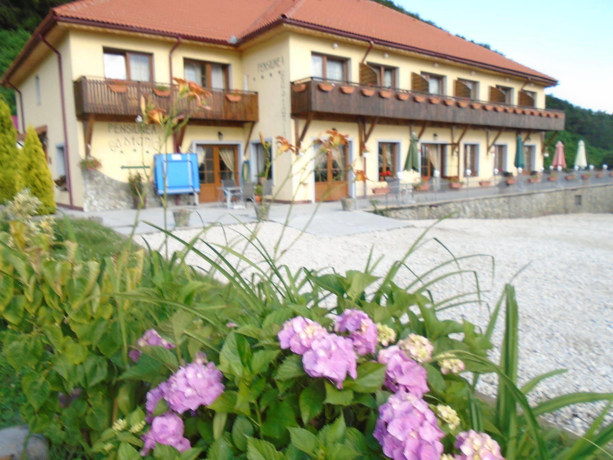 Pensiunea Castania - Pensiune Cu Piscina La Munte Polovragi Exteriör bild
