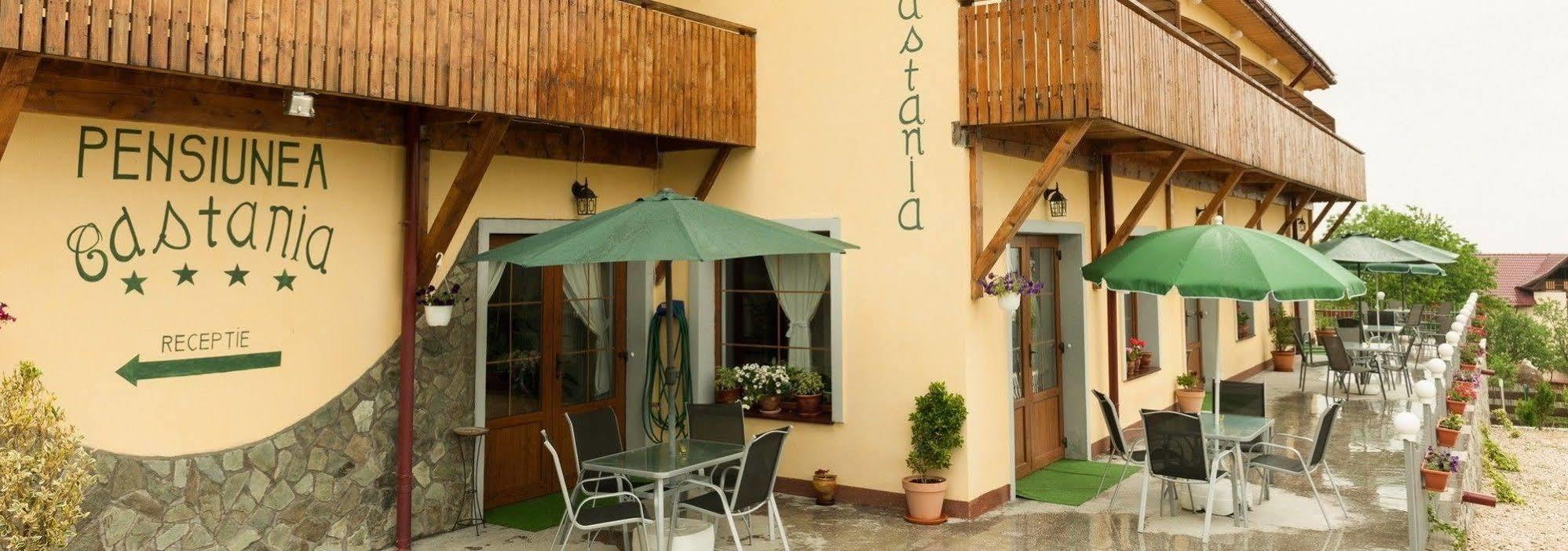 Pensiunea Castania - Pensiune Cu Piscina La Munte Polovragi Exteriör bild