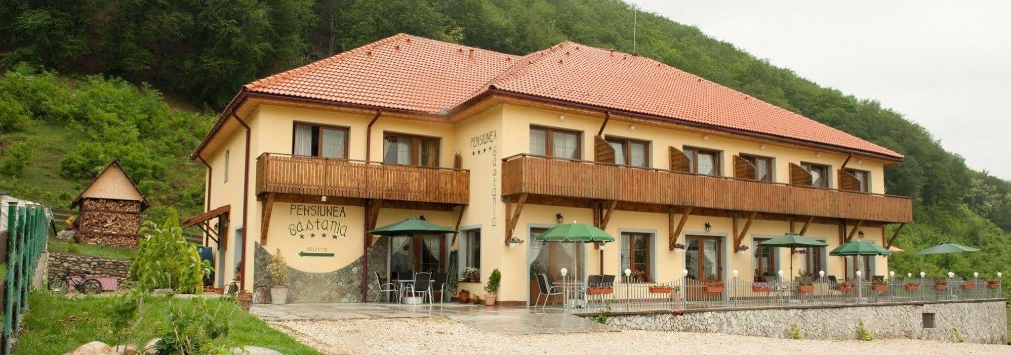 Pensiunea Castania - Pensiune Cu Piscina La Munte Polovragi Exteriör bild