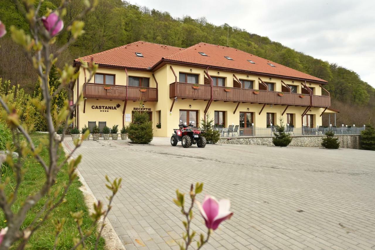 Pensiunea Castania - Pensiune Cu Piscina La Munte Polovragi Exteriör bild